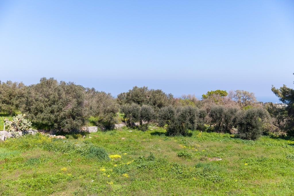 מונופולי Villa Carenza מראה חיצוני תמונה